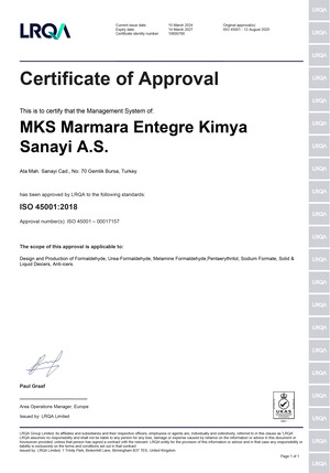 ISO 45001 Occupational Health and Safety Management System Certificate